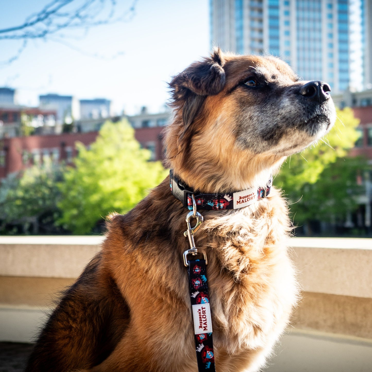 Pawesome Pup 6' Leash