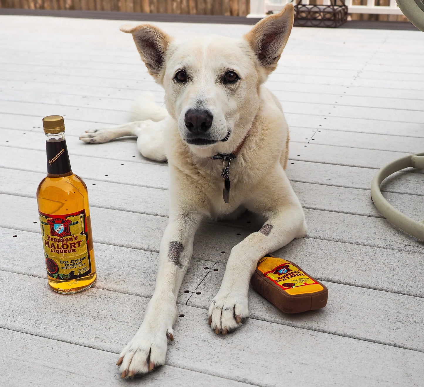 Yappy Hour Dog Toy