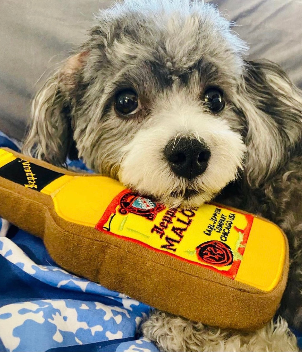 Yappy Hour Dog Toy
