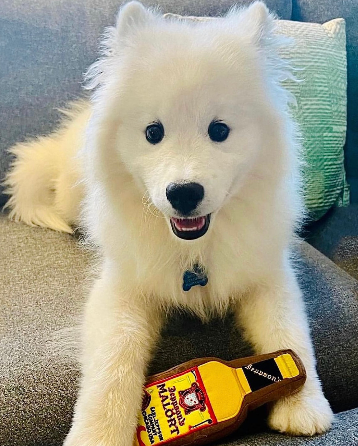 Yappy Hour Dog Toy