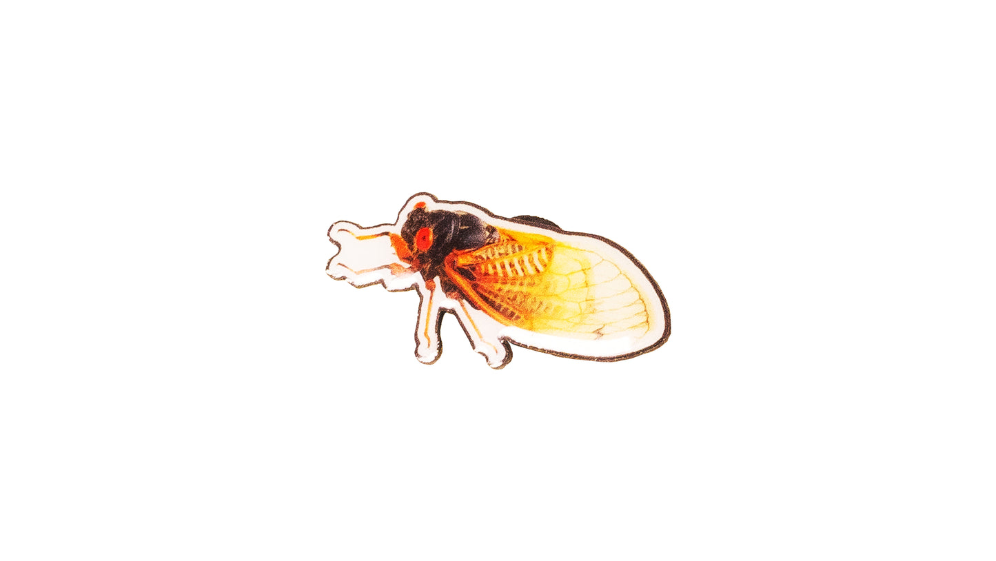 Cicada Malört Pins