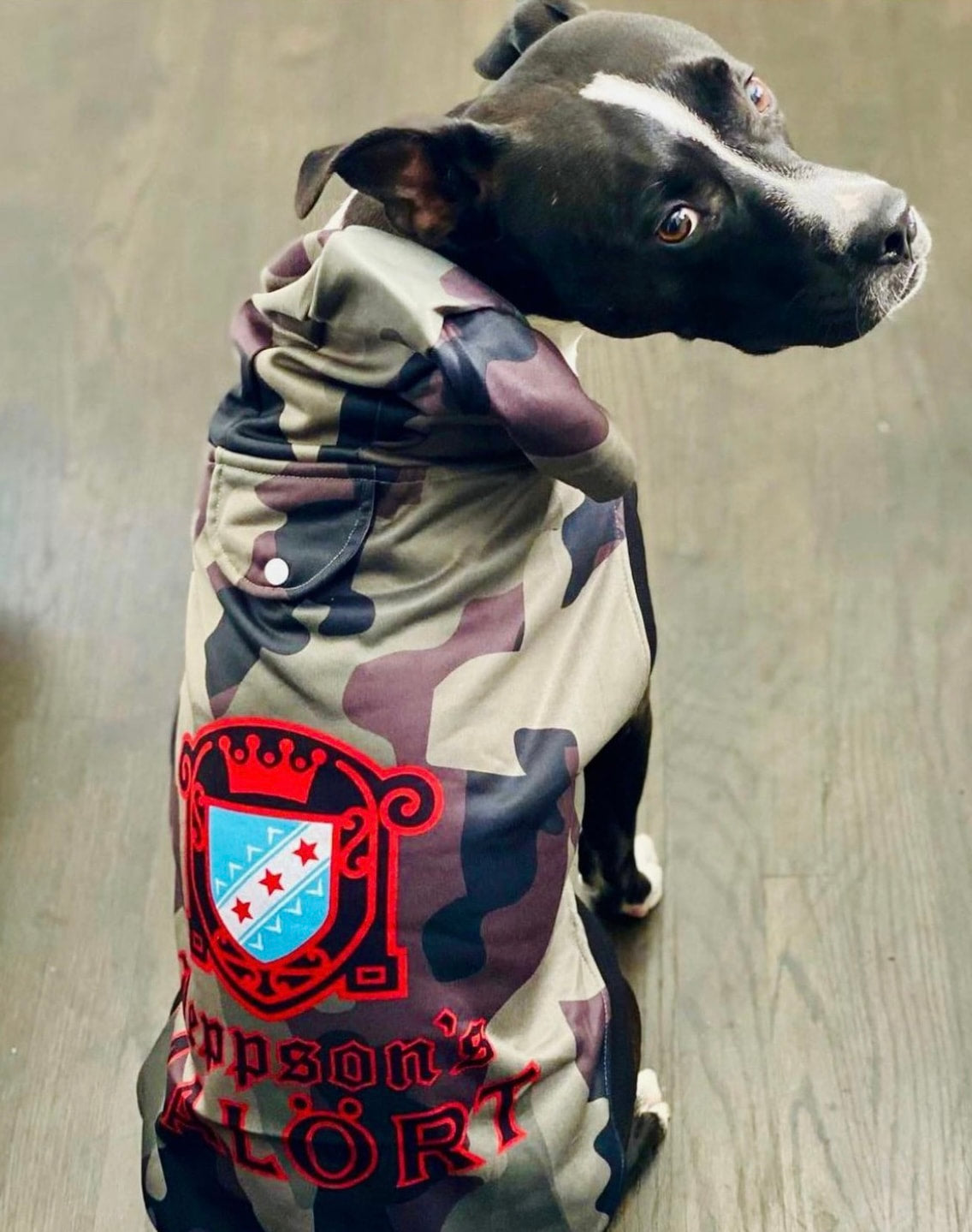 Dog bape online jacket